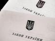 Із проголосованого Радою закону про реінтеграцію вилучили важливий пункт, - журналіст