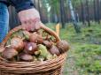 На Львівщині в лісі знайшли тіло грибника