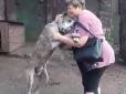 Плакали вдвох - він і вона: Викрадений пес через два роки повернувся до рідної домівки - дуже худий та хворий, але живий і щасливий (відео)