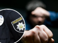 Били жінку і маленьке щеня: У Вінниці таксист влаштував дикі розбірки з пасажирами через собаку (відео)